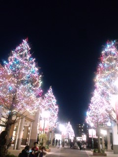 120106_1718~02.jpg